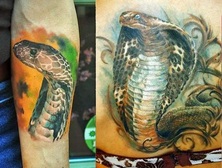 Tattoo kobra lehetőségek vázlatok, végrehajtás stílus, fotó