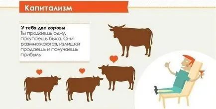 Tipuri de societate, în exemplul de două vaci