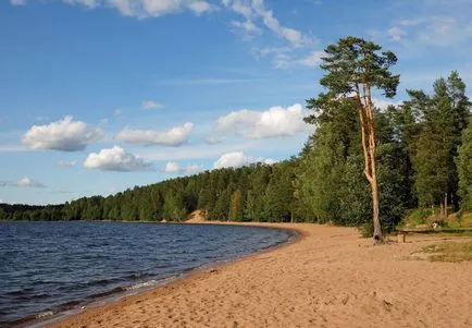 Топ 10 плажове в Ленинградска област, блог фиеста