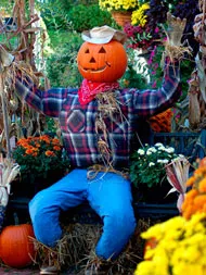 Cum sa faci o păpușă grădină - Scarecrow m2-bord