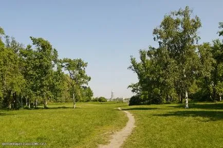 Trasee turistice în grădina Kiev Național Botanic din Kiev