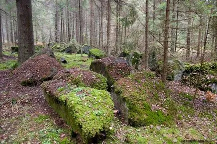 Trasee turistice in regiunea Leningrad