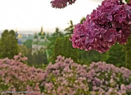 Trasee turistice în grădina Kiev Național Botanic din Kiev