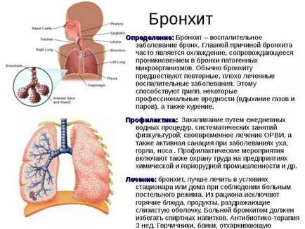 Трахеит и бронхит симптоми и лечение на деца и възрастни с антивирусна, антибиотик,