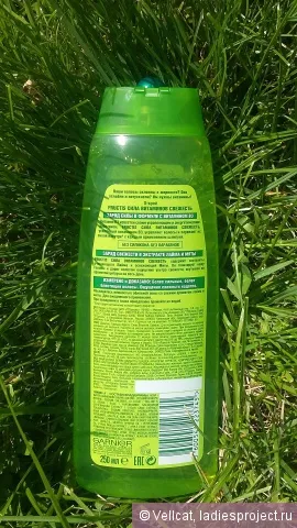 Consolidarea șampon FRUCTIS Garnier - puterea de vitamine prospețime - - comentarii, fotografii și preț