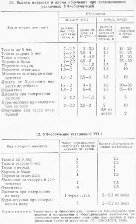 Ultraibolya besugárzással az állatok - minden of Veterinary Medicine