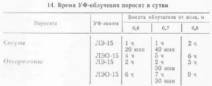 Ultraibolya besugárzással az állatok - minden of Veterinary Medicine