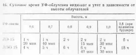 Ultraibolya besugárzással az állatok - minden of Veterinary Medicine