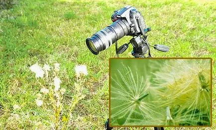 Научете се да правите снимки на огледално-рефлексен фотоапарат