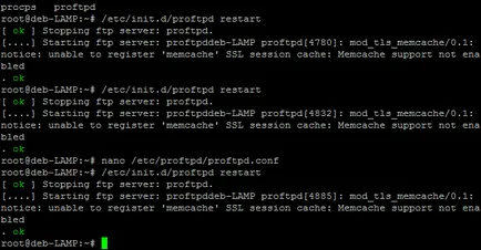 Setarea debian server FTP