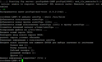 Setarea debian server FTP