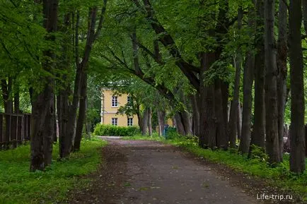 Manor Sukhanovo - приятна атмосфера на запустението