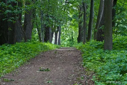 Manor Sukhanovo - atmosferă plăcută pustiirii