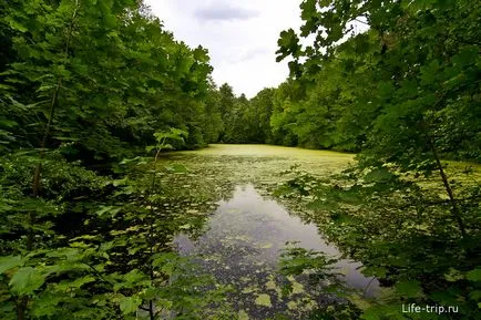 Manor Sukhanovo - atmosferă plăcută pustiirii