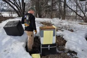 Grija pentru albine în timpul iernii, insecte adecvate de iernat în interior și Apiary deschise