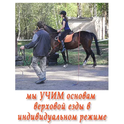 Riding în Strogino - articole pentru colegi