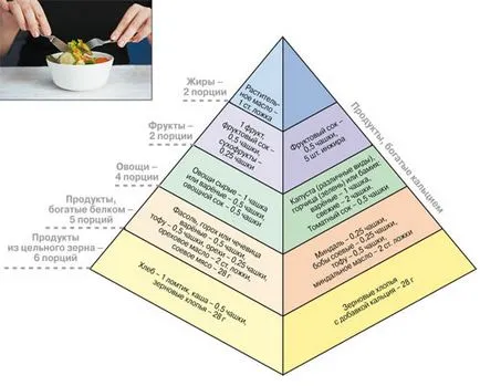 Vegetarianismul și sănătate, știință și viață