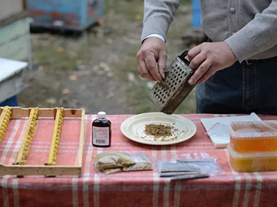 Водният екстракт от прополис у дома мнения