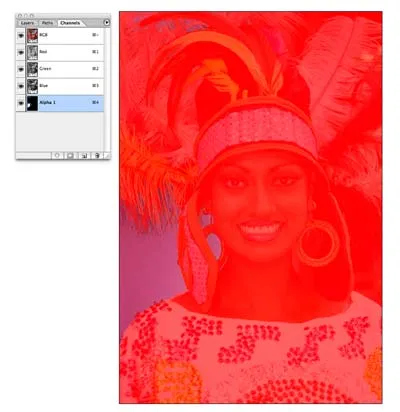 Vágott szőr, toll, szőr, fák - Lessons photoshop - hasznos cikkek - Web Studio - egy forma