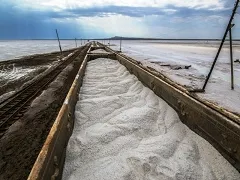 В България има своите 