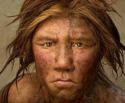 Recovery a neandervölgyi megjelenése grafikus szerkesztő