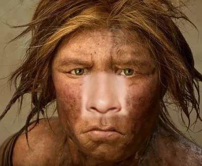 Recovery a neandervölgyi megjelenése grafikus szerkesztő