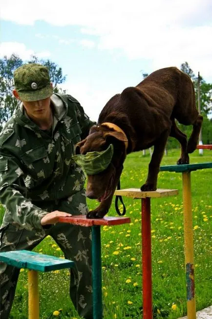 Unitatea Militara 32516 (470 mii metodică și Centrul de Formare Dog)