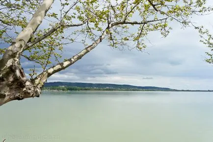 Hévíz és Balaton, whereverguide