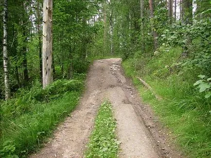 lac șoim