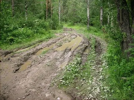 lac șoim