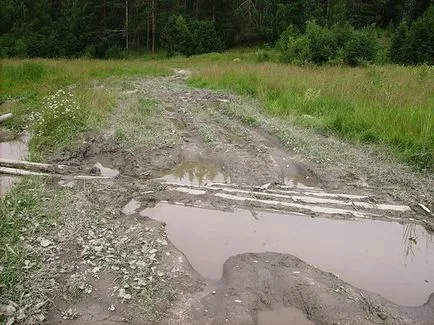 lac șoim