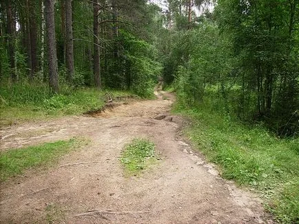 lac șoim