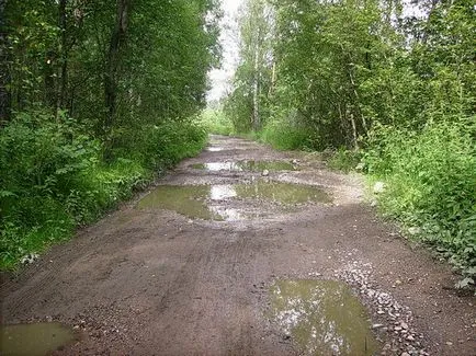 lac șoim