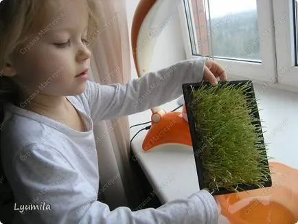 Green Living (élő konyha), ország művészek