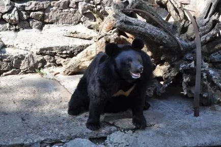 Zoo Nikolaev Adresa, animale