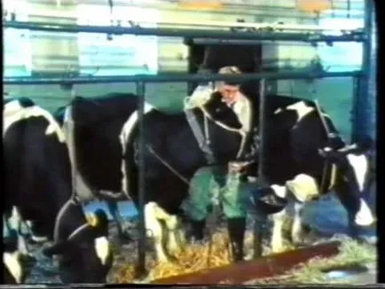 Съдържание на мазнини мляко състав краве на домакинство, което определя и как да се подобри