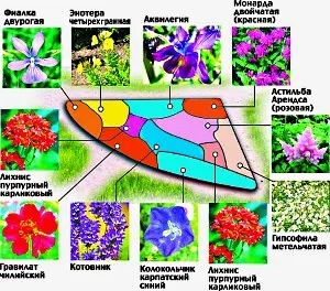 Cum de a crea un strat de flori înflorire continuă film