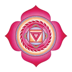 1 Chakra - rosu - Muladhara (coccis) - care este chakre - Elementele de bază de energie