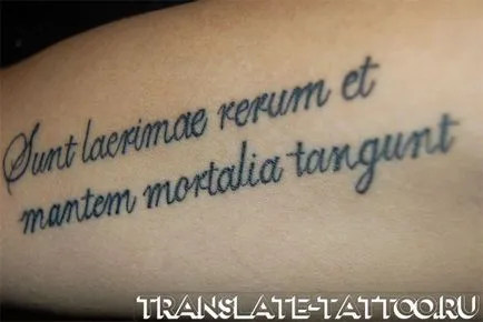 36 fotografii ale celor mai bune inscripții tatuaj în latină, pentru inspirație ta!