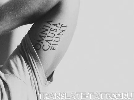 36 fotografii ale celor mai bune inscripții tatuaj în latină, pentru inspirație ta!