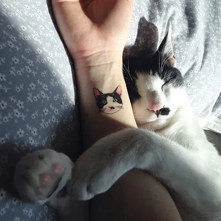 20 минималистични татуировки за любителите на котки