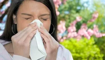 Az allergiás nátha tünetei orrdugulás allergia
