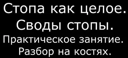 крак анатомия като цяло и сводовете й