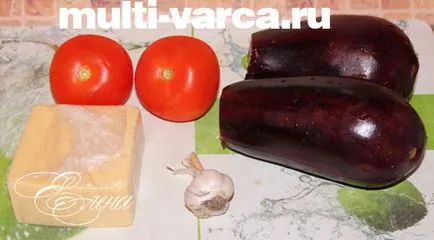 Vinete într-un cuplu multivarka