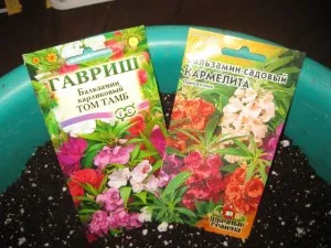 Impatiens градина, всички, за да се даде