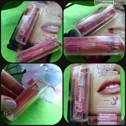 balsam de buze luxvisage all inclusive - «tonuri 03 și tonuri 05, Pranksters răutăcios! Lip Gloss,