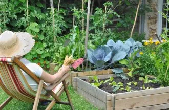 gradina de legume Cimbru de grădină, grădinar (conac)