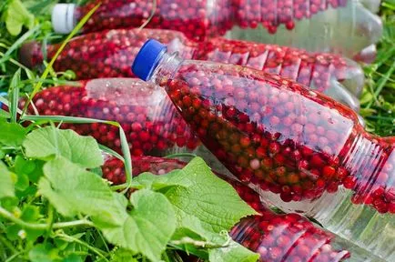 Cranberries télen a legjobb receptek cukorral főzés nélkül, bor, lekvár, dzsem, mártás és ecetes áfonya