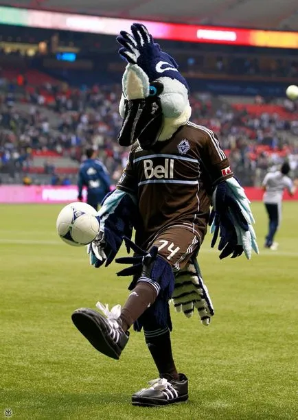 Minunate echipe de fotbal, mascotele 25 poze amuzante bancuri