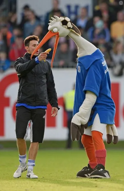 Minunate echipe de fotbal, mascotele 25 poze amuzante bancuri